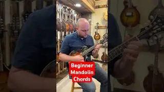 The First Beginner Mandolin Chords You Should Learn!