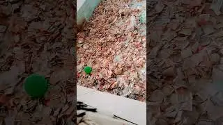 new video Hazrat Sakhi Sultan bahoo #account #vlog