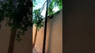 A beautiful view of a historical alley      #Yazd #Taft #irantravel #Yazdtour #Yazdtourism
