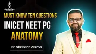 High-Yield Anatomy Rapid Revision | PYQs + Mnemonics That Actually Help (NEET PG/INICET)