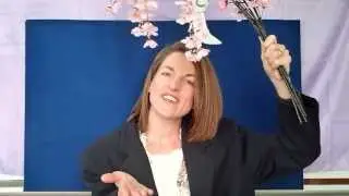 English Cherry Blossom Song &copy;2013 Clear Skies English School