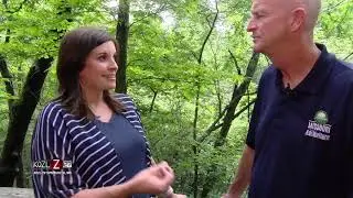 Disease Potential in Feral Hogs