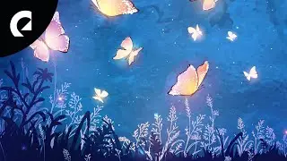 bomull - stargazing