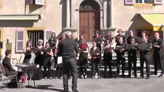 ACF 2014, Singe uf der Gass, Choeur en herbe Unterwallis: Witness