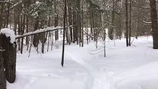 DJI mini 2 Valentines Day 2021 in Wildcall Acres  cookout Simcoe County