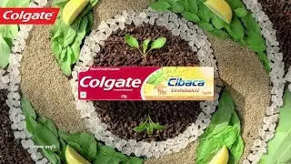 Colgate Cibaca Vedshakti Toothpaste