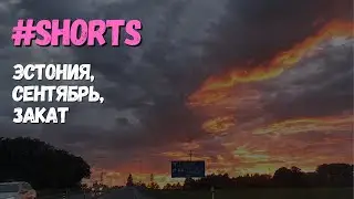 Бомбический первый закат сентября #shorts #балтийскоеморе #закат #travelmood