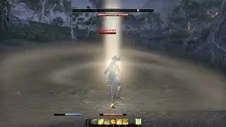 ESO セット装備 頑強な英雄 Steadfast Hero