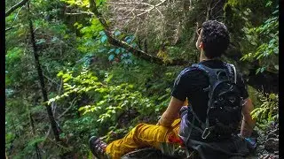 Take On Hell Brook, Mt Mansfield