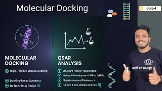 Molecular Docking | Rigid & Flexible docking | Docking screening | De novo drug | Free Wilson method