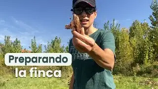 Preparando la finca antes de labrar: trabajos necesarios en el bosque de alimentos