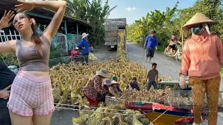 Full Video: POV Life of Daily Duck Farming in Field Transport by Truck for High Economic Value Daily