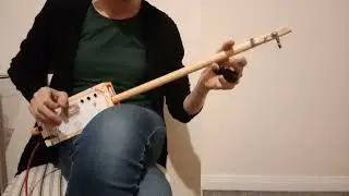 Another wee bonus! 'Twinkle' -  All singing,all dancing, all electric diddley bow ✨️