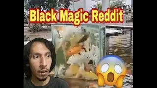 Black Magic Reddit | How did he do that? 😮