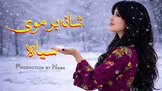 شانه بر موی سیاه 🔥🥢🔥Shane Bar Moe Sia | 2026 Mast Hazaragi 