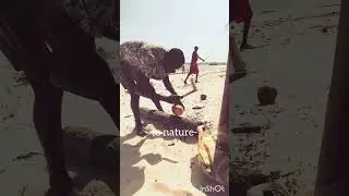 🌴 Man Opens Coconut with Just a Knife! 🌿 Pure Nature & Food Simplicity