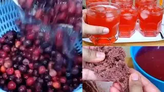 Falsa ka sharbat bnane ka tarika |How to store falsa juice for 3 months |Falsa squash recipe