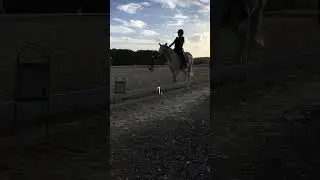 Bloody Mary/horse beat🐾