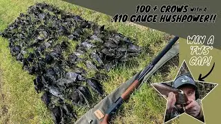 Crow Shooting | 100+ Crows | Decoying with a  .410 Hush Power | Silage Pit