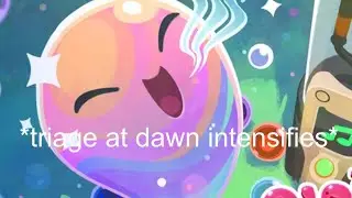 Triage at Dawn played in Slime Rancher