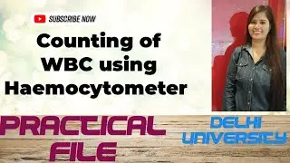 Counting Of WBC Using Haemocytometer #Delhi University #Miranda House # Neubauer's Slide #BSc., MSc.