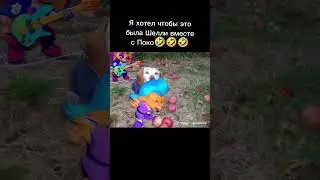 🤣🤣🤣 #meme #memes #memedog