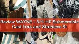 Review WAYNE - 3/4 HP Submersible Cast Iron and Stainless Steel Sump Pump with Integrated Vertical F