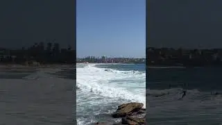 #onelifevlogz #surfingatmanly #surfing #manlybeach #shorts