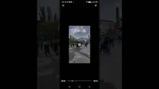 даже коты борется