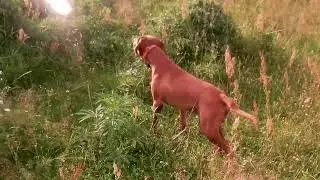 0808 утро