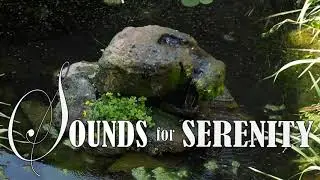 ROCK FOUNTAIN, RUNNING WATER. RELAXING MUSIC SOUNDS. CALMING ANXIETY SOUNDS.