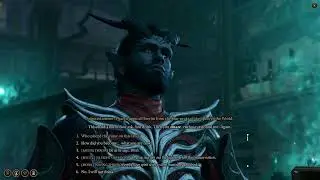 Baldur's Gate 3 #144 Plautzo und die Trinker Party - Let's Play Baldur's Gate 3