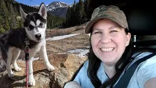 We Found SNOW for the Husky Puppy | Travel Vlog