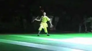 Festival des Arts Martiaux &agrave; Montpellier 2005
