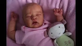 Realborn Alma by Bountiful Baby