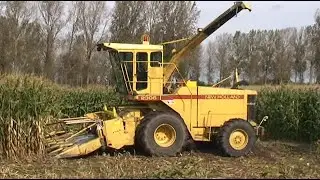 Maïs 2008 Veehouderij uit Bassevelde(B) met een mooie New Holland 2305