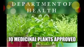 10 MEDICINAL PLANTS APPROVED #DOH