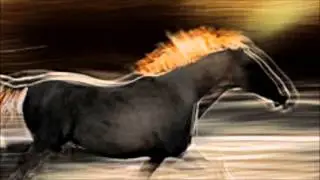 Лошадки ( horses) фотограф Milan Malovrh)