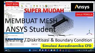 Membuat Mesh/Meshing/Diskritisasi & BC | Tutorial Ansys Student-9 | Preprocess CFD Aerodinamika Wing