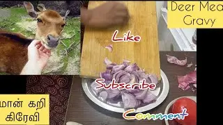 மான் கறி கிரேவி 5 mins , Deer Meat Gravy #cooking #tamilcooking #deermeat #deermeatfordinner
