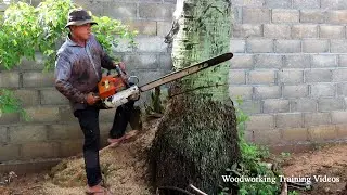 Strong Man Using STIHL MS720 Chainsaw Cut Down Big Palm Tree Fast And Easy Felling