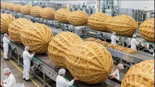 Inside The Factory That Makes Crispy Peanut Butter How They Create The Perfect Crispiness   The Enti