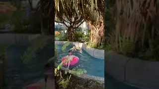 Lazy River Pool  Singapore #shortvideo #ofw #diary #adventure #familyvlog #travel #trip #pool