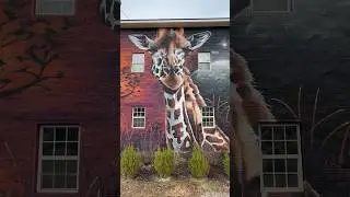 Broadway Zoological Park #giraffe #zoo #autism #art #broadwayzoologicalpark