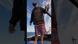 Peel Island adventures #shorts