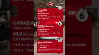 Ranking Lely Center &Aacute;vila 🥇🥈🥉