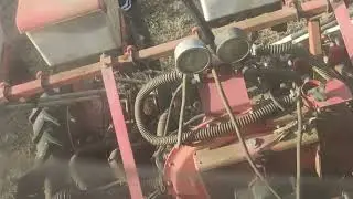 Day 42 Onion & Maize Field Update | Urea Fertilizer Application and New Onion Planting Started