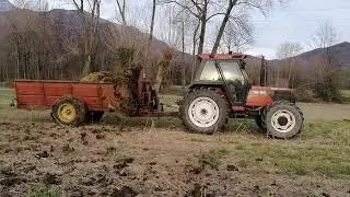 Spargimento letame 2021 a Gemona del Friuli (UD)