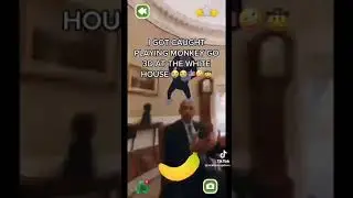monkey 3d in the WHITE HOUSE
