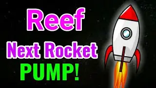 Reef Next Pump! Alert || Reef Price Prediction & News Today! Reef Today News